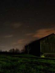 One Pregnancy, Two B