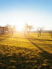 Do not deprive me of