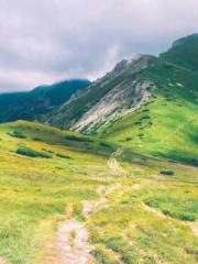 High School Campus S