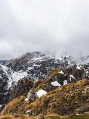 The Exclusive Daught