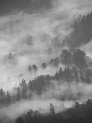 My stunning aunt lt;