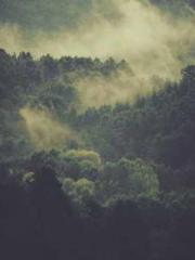 Jiang Mingzhu Zhou L