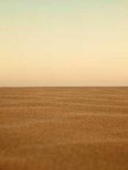 The wife wishes to b