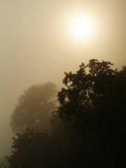 My husband is the Ki