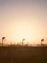 The Hardships of a D