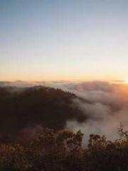 Peninsula Asteroid l