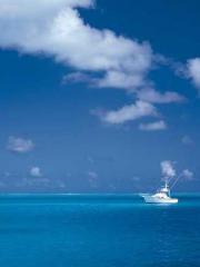 lt;The misfortune of