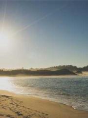 Becoming a solitary 